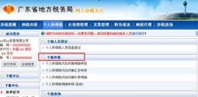个人所得税代扣代缴系统怎样明细申报