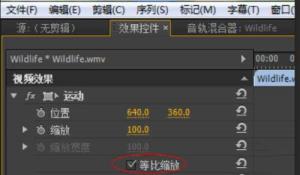 Premiere怎么不等比例缩放视频 Premiere怎么不等比例缩放视频