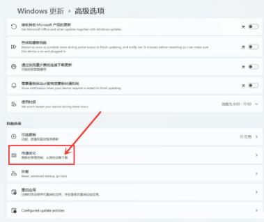 Windows11怎么开启传递优化功能 Windows11怎么开启传递优化功能