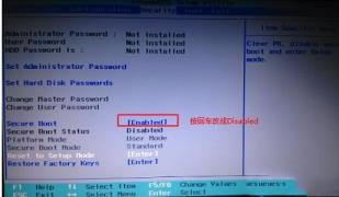 Win11打开pdf文件出现bug怎么解决