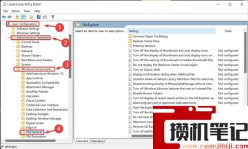 怎么在Windows11上禁用文件资源管理器搜索历史记录？