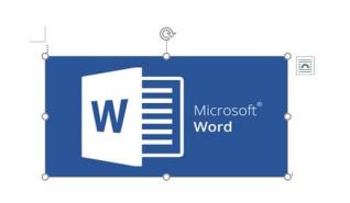 word图片不能移动怎么解决 word图片不能移动怎么解决