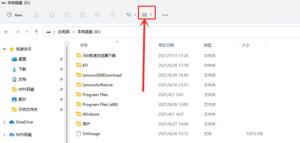 Win11如何查看隐藏文件