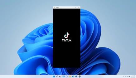 Win11正式版安装安卓子系统的方法 测试阶段抢先体验 Win11正式版安装安卓子系统的方法 测试阶段抢先体验