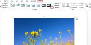 Word怎样设置图片格式 Word怎样设置图片格式