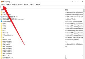 Everything怎么导出文件列表 Everything怎么导出文件列表