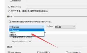Visual Studio 2019如何设置IIS Visual Studio 2019如何设置IIS