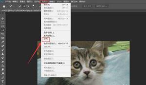 万兴喵影filmora怎么制作人物描边定格?万兴喵影filmora制作人物描边方法 万兴喵影filmora怎么制作人物描边定格?万兴喵影filmora制作人物描边方法