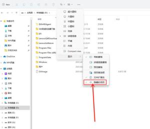 Win11如何查看隐藏文件