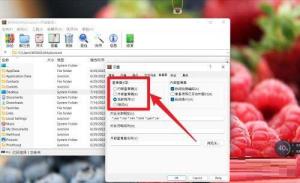 WinRAR如何设置查看器类型 WinRAR如何设置查看器类型