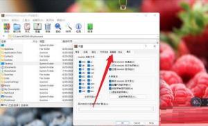 WinRAR如何设置查看器类型 WinRAR如何设置查看器类型