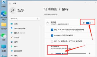 Windows11怎么设置鼠标灵敏度 Windows11怎么设置鼠标灵敏度