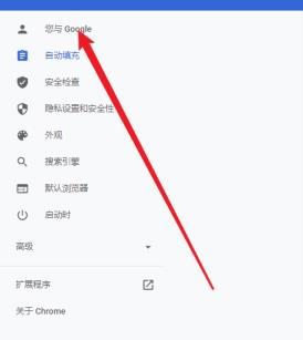 谷歌浏览器如何设置付款方式 谷歌浏览器如何设置付款方式