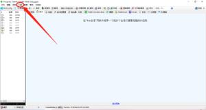 Fiddler怎么启用IPV6 Fiddler怎么启用IPV6