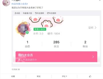 哔哩哔哩年度小会员正式上线 标识变成环保绿 哔哩哔哩年度小会员正式上线 标识变成环保绿