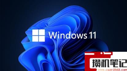 Win11怎么运行安卓应用？Win11直接运行安卓app方法