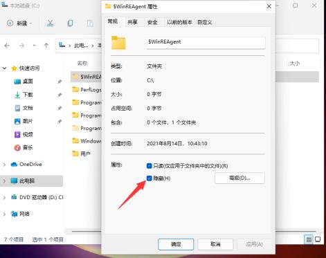 Win11怎么查看隐藏文件和文件夹 Win11怎么查看隐藏文件和文件夹