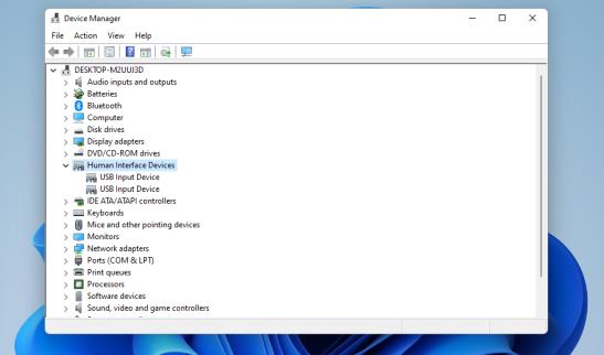 Windows11的触摸屏不工作 Windows11的触摸屏不工作