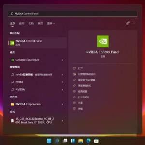 Win11怎么打开nvidia控制面板 Win11怎么打开nvidia控制面板