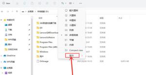 Win11如何查看隐藏文件