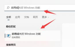 Win11正式版有wsa吗