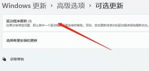 Win11电脑摄像头打开是黑的如何解决