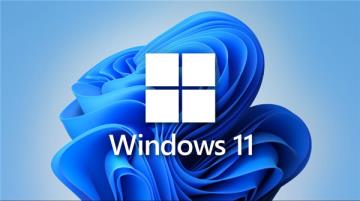 Win11更新失败提示“你的设备中缺少重要的安全和质量修复”怎么解决?