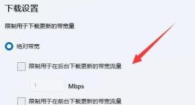 Win11如何限制带宽流量