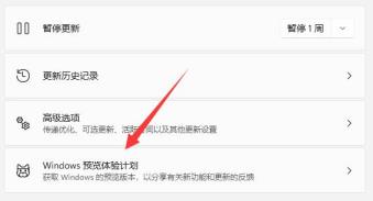 Win11如何升级正式版