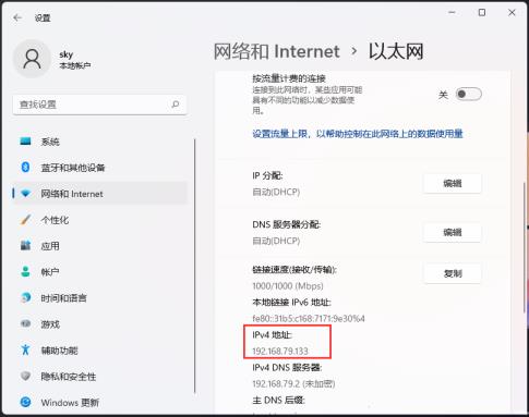 Win11IP地址在哪里看