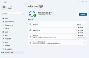 Win11自动更新怎么取消 Win11自动更新怎么取消