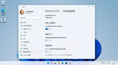 Win11系统如何启用开发人员模式