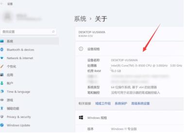 企业版和专业版有什么不同