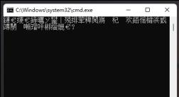 运行.bat文件乱码