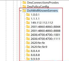 Win11无法DNS加密