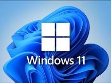 Win11自动更新怎么取消 Win11自动更新怎么取消