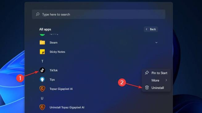 如何从Win11系统中删除TikTok