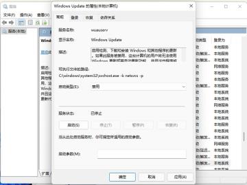 Win11自动更新怎么取消 Win11自动更新怎么取消