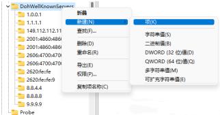 Win11无法DNS加密