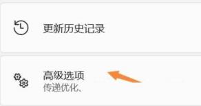 Win11如何禁用驱动程序强制签名 Win11如何禁用驱动程序强制签名