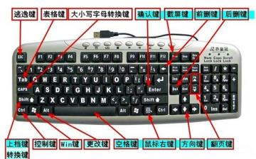 Win11无线鼠标没反应怎么解决