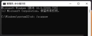 Win11Windows资源管理器已停止工作的解决步骤