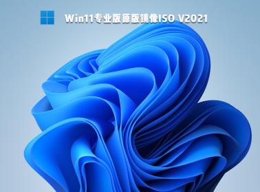 企业版和专业版有什么不同