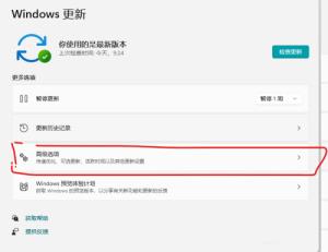 Win11传递优化怎么关