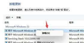 Win11电脑闪屏怎么解决