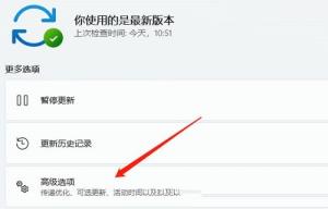Win11显卡驱动怎么安装