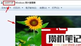 如何打开tif格式的文件? 如何打开tif格式的文件?