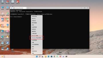 Win11怎么安装WSA安卓子系统 Win11怎么安装WSA安卓子系统