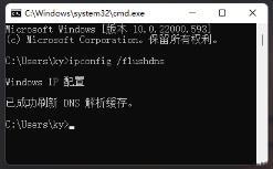 Win11网络不稳定怎么解决