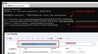 Win11正式版有wsa吗